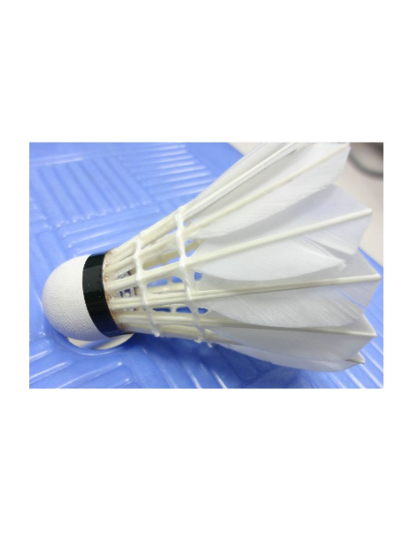 Victor Master Ace Goose Feather Badminton Shuttlecock (12 Pieces)